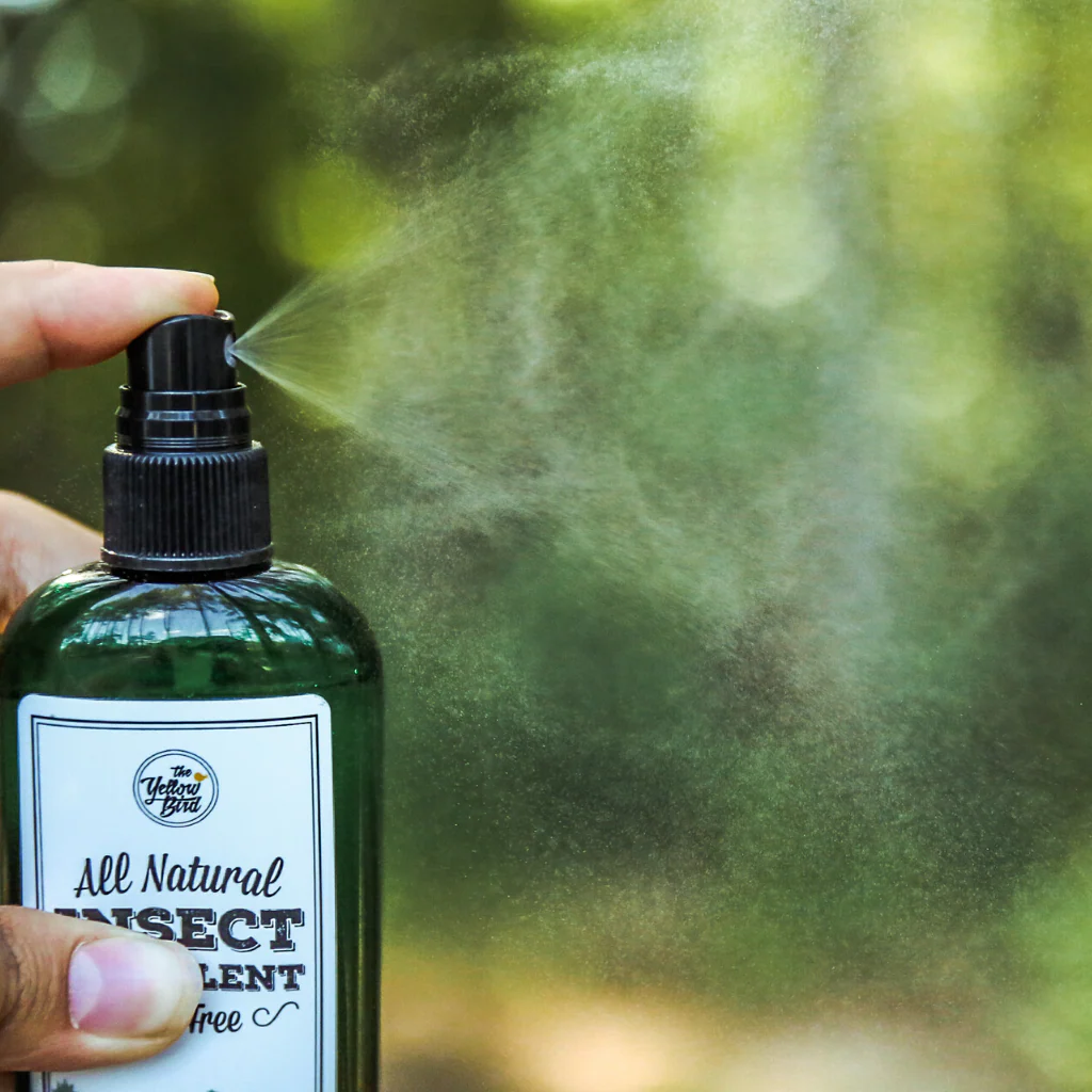 Outdoor Essentials Kit - Image 3