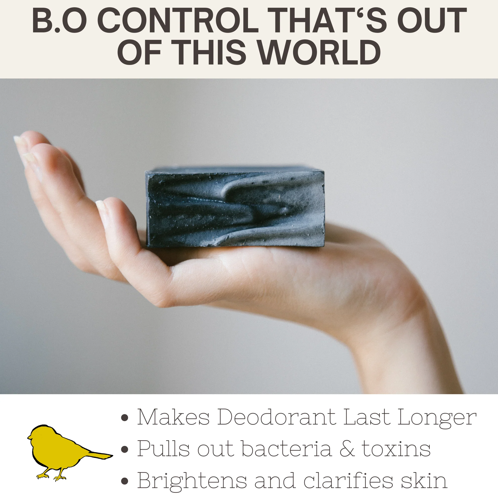 Pit Detox Bundle | Deodorant + Lavender, Lemongrass, Charcoal Soap Bar - Image 3